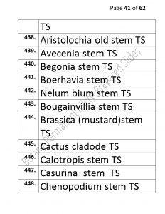 3).PERMANENTMICRO-PREPAREDSLIDES_page_41