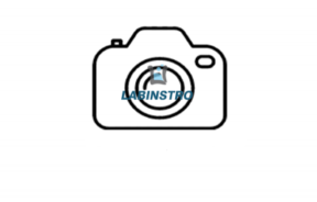 Permanent Micro-Prepared Slides	(LIZOL-6001/1) Biology Labinstro